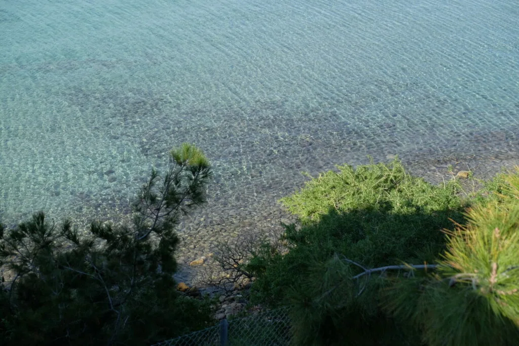 Clear turquoise water with green vegetation and pine trees along the shoreline