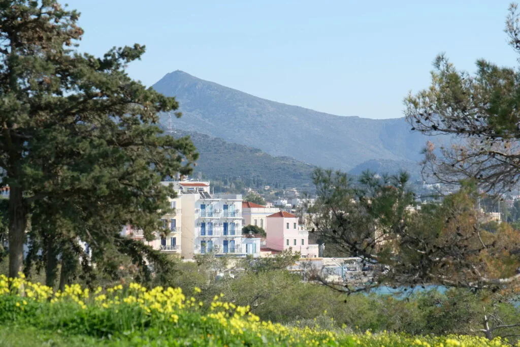 Mediterranean coastal town with colorful buildings and mountain backdrop framed by trees and yellow wildflowers