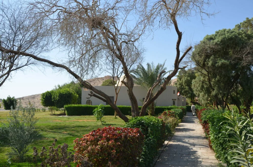 Pathway through Mediterranean garden with gnarled tree, flowering shrubs, and whitewashed building with arid hills in background