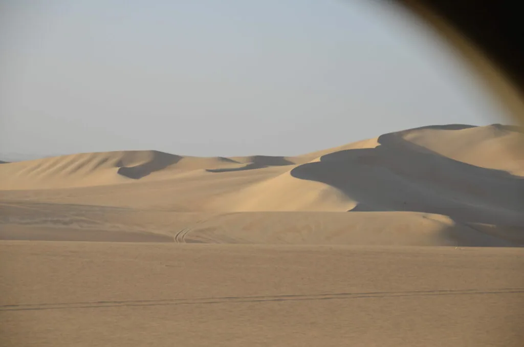 Sand dunes in desert with rippled patterns and shadows cast by afternoon sunlight