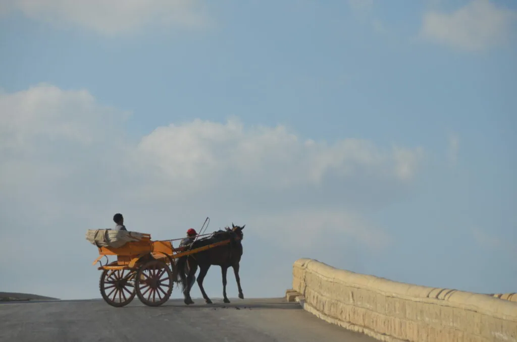 Person sitting on wooden cart pulled by horse on paved road with stone wall, blue sky with clouds