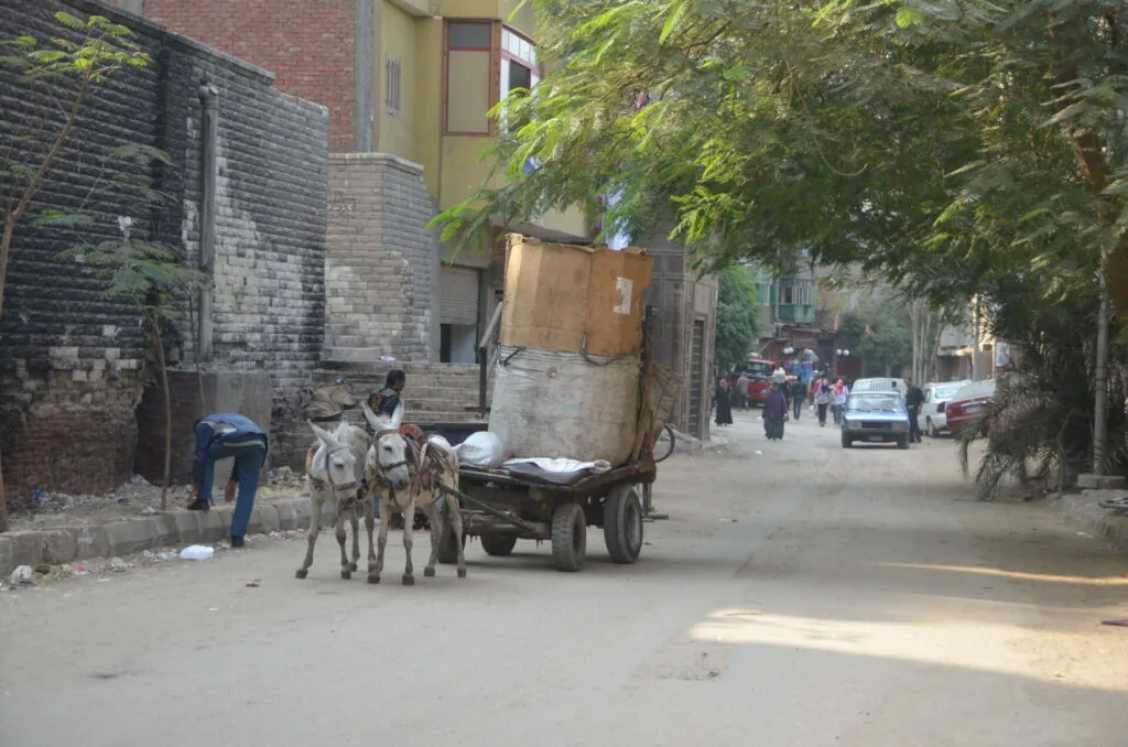 Donkey cart laden with cargo on a narrow street lined with brick buildings and trees
