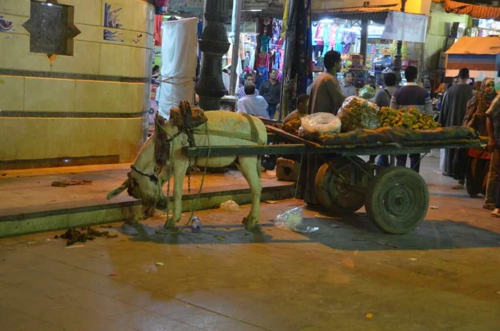 Green painted donkey cart loaded with produce at a crowded market street at night