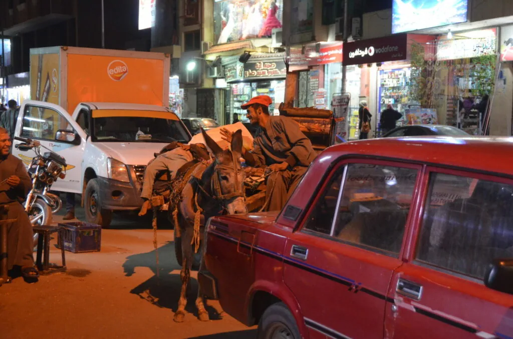 Street scene with sculpture of camel and person, parked vehicles, and illuminated shop storefronts at night