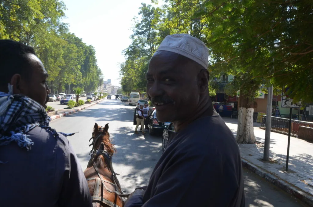 Man wearing blue cap smiling at camera while holding reins of brown horse on tree-lined city street
