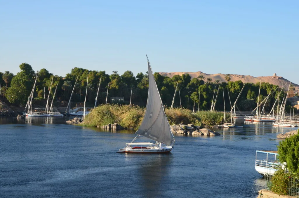 Sailboat with white canvas on river surrounded by palm trees and moored boats under blue sky