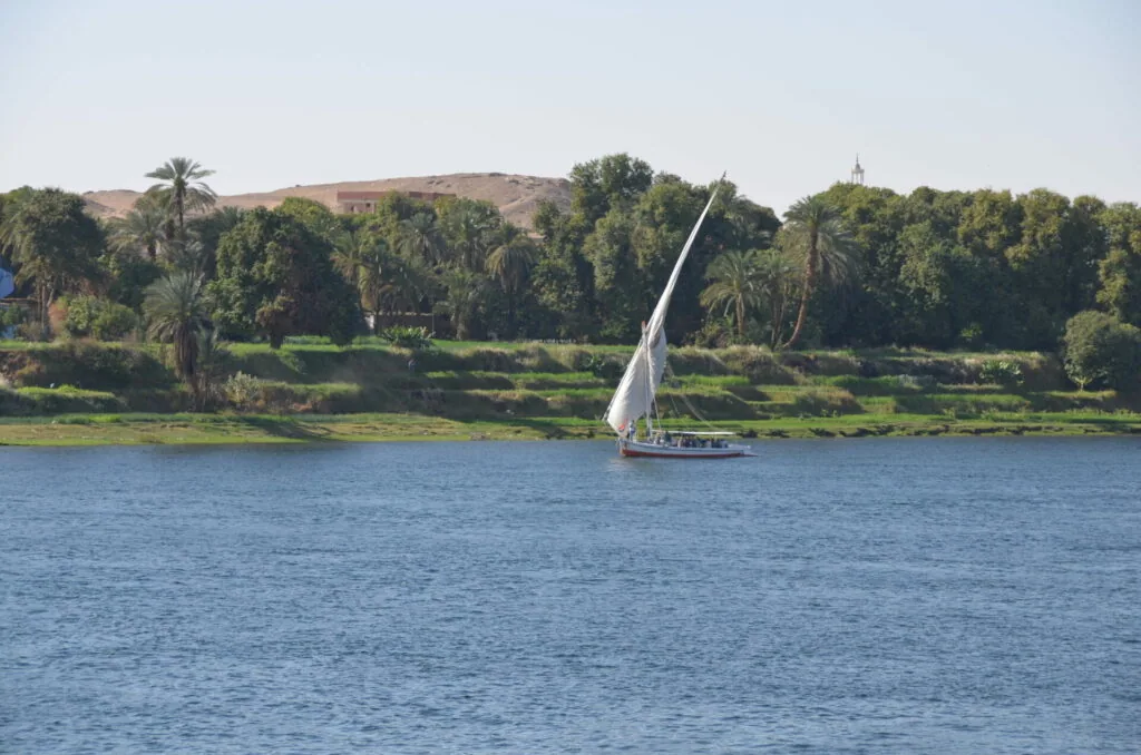 Traditional sailboat with white sail on river, palm trees and green vegetation on sandy shore behind it