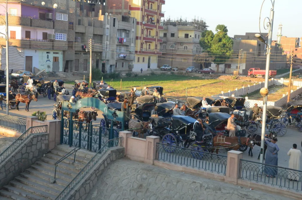 Horse-drawn carriages and carts gathered in a busy public square near multi-story residential buildings in Egypt at dusk