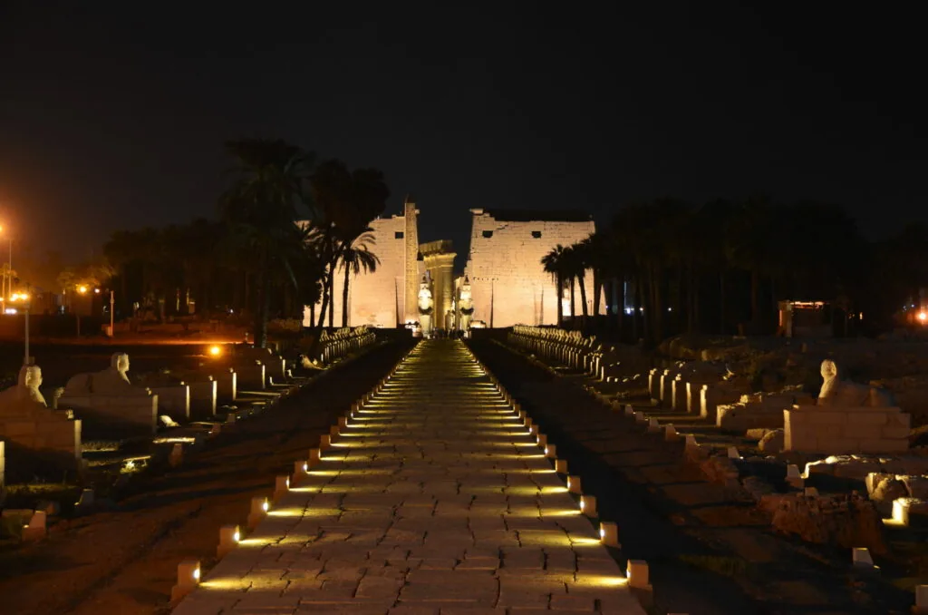 Illuminated ancient Egyptian temple gateway at night with palm trees and sphinx statues lining the approach