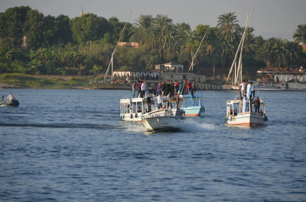 Passenger ferries on the Nile River with sailboats and palm trees along the riverbank in the background