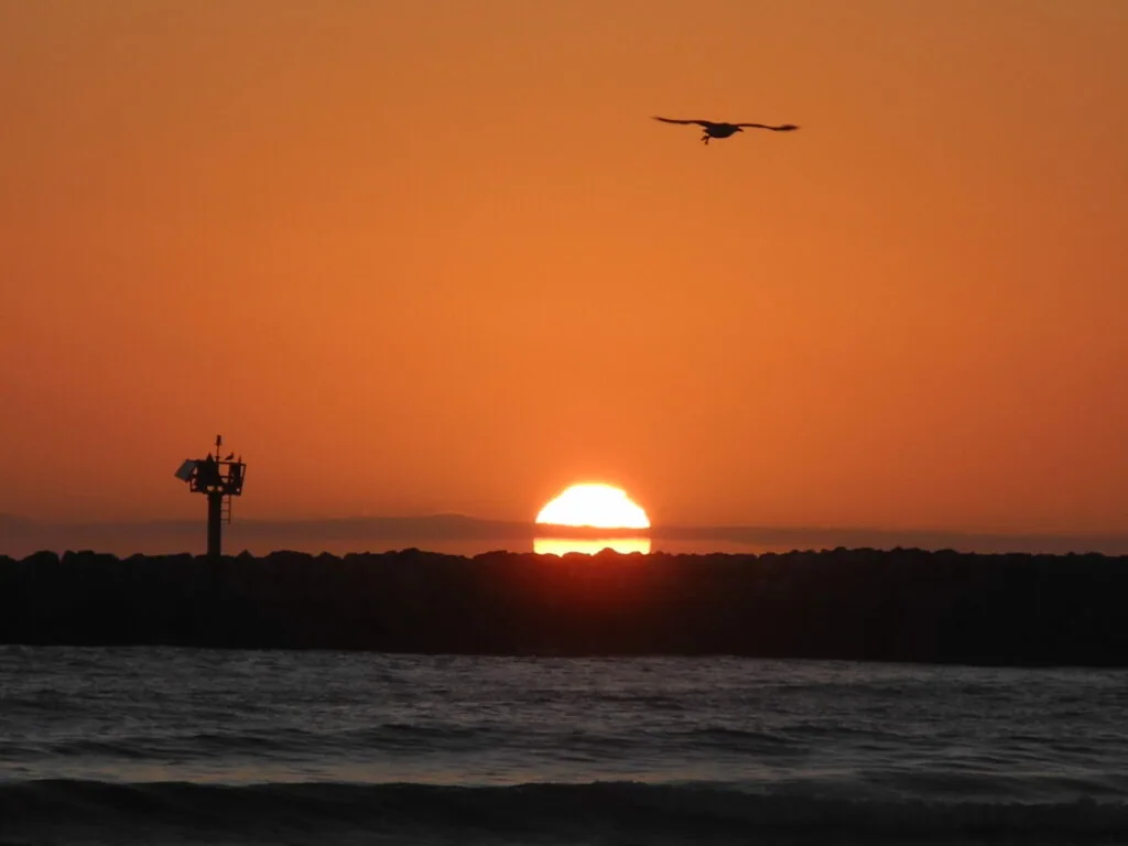 Silhouette of aircraft flying over ocean at sunset with communication tower on shore