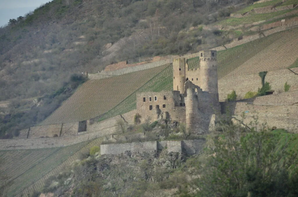 Medieval stone castle ruins on hillside with terraced vineyard fields in background