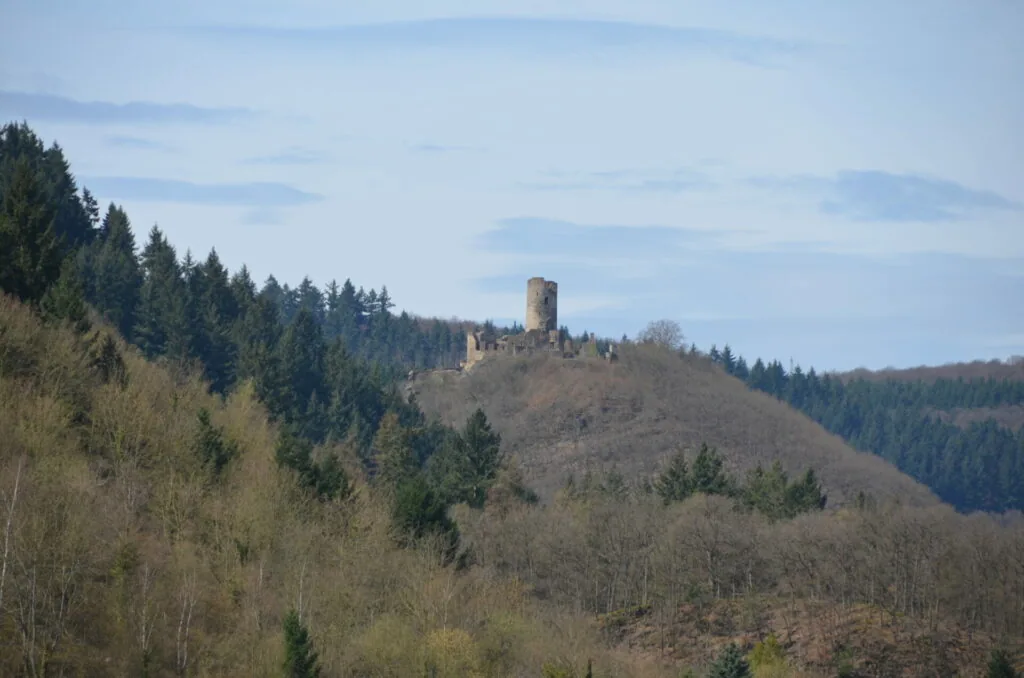Medieval castle ruins on hilltop surrounded by evergreen and deciduous forest under blue sky