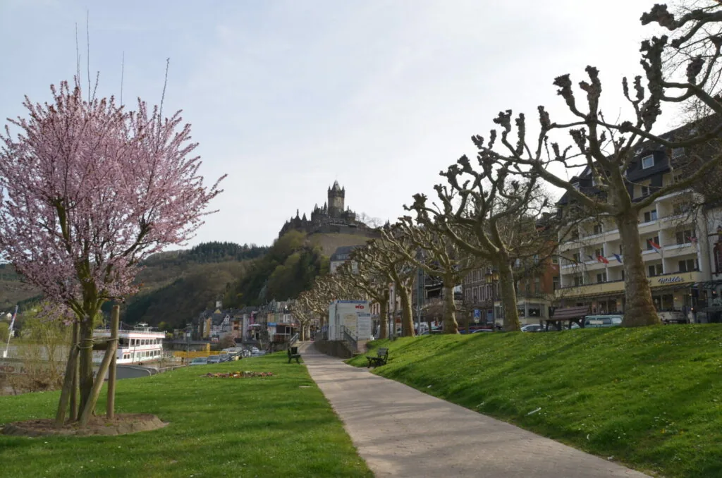 Riverside promenade with pink flowering tree, buildings, and hilltop castle in background