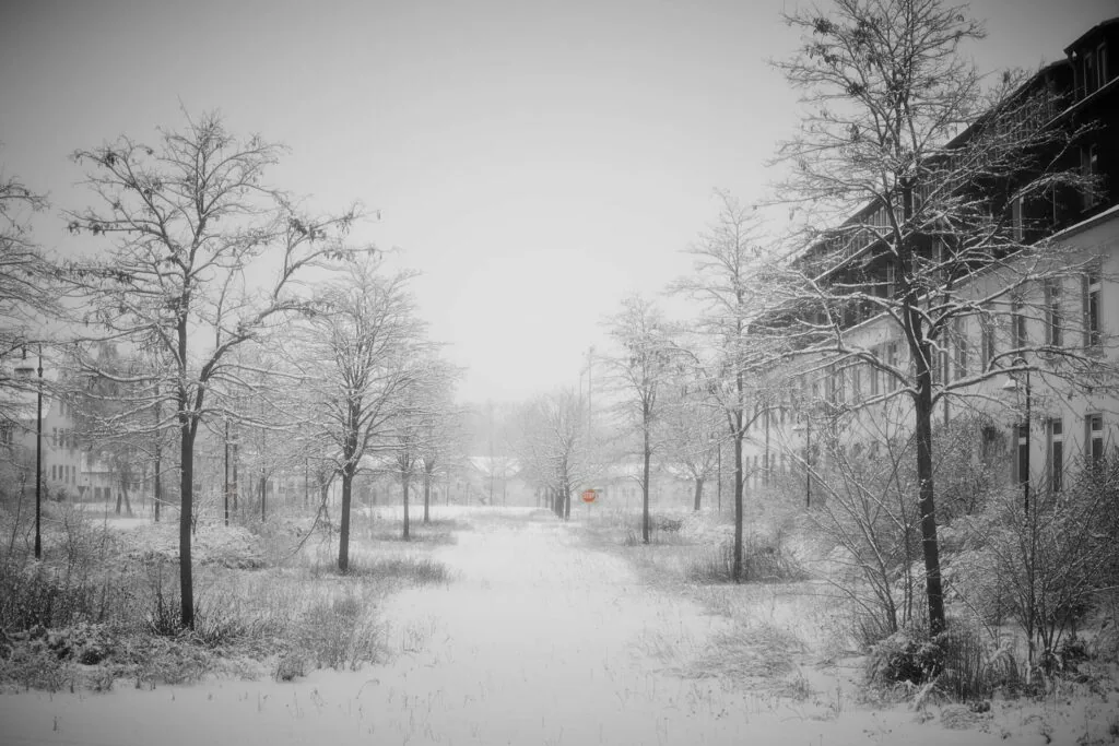 Snow-covered urban street lined with bare trees and historic buildings on both sides