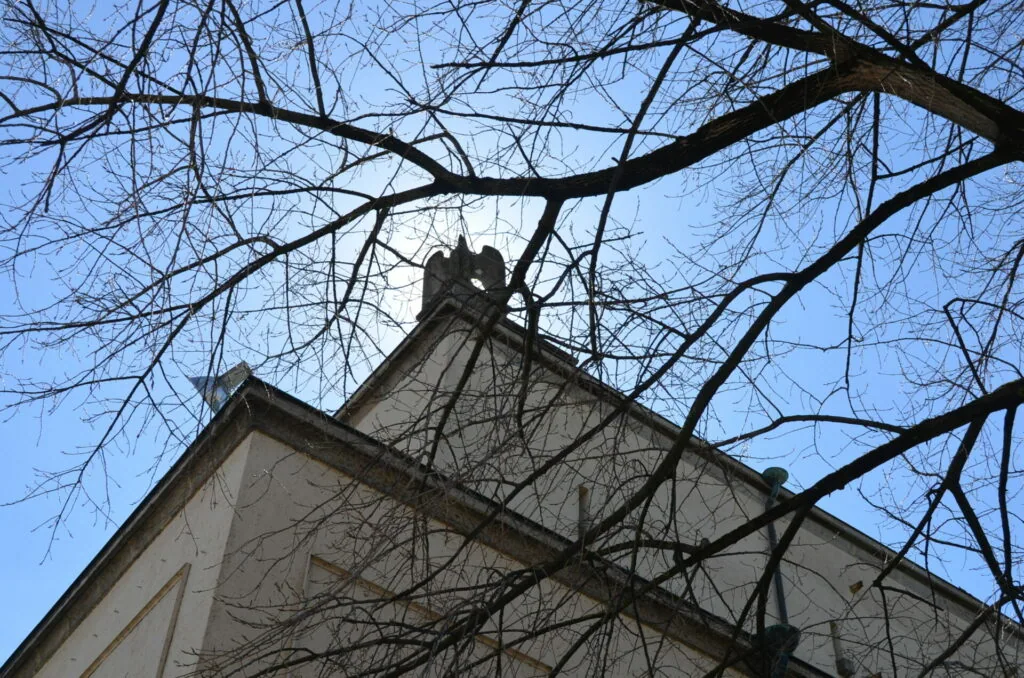Bare tree branches silhouetted against blue sky with classical building roofline and chimney below