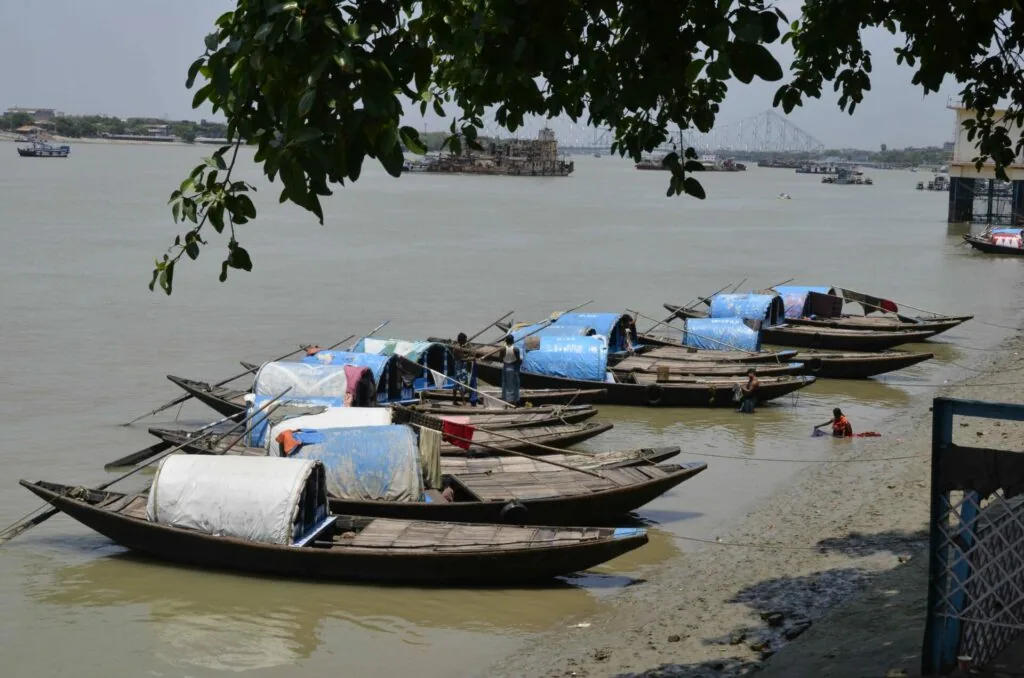 Row of wooden fishing boats with blue tarps moored in shallow river water, tree branches overhead, additional boats visible in background