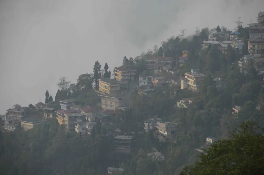 Hillside town with buildings nestled among dense trees and cypress trees in misty conditions