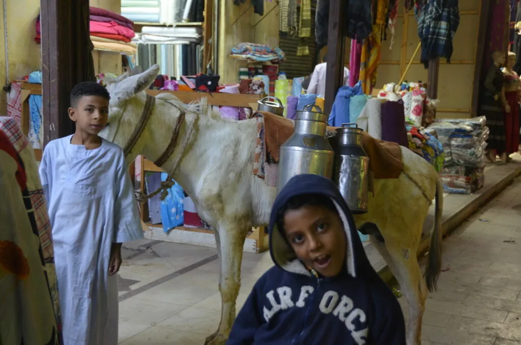 Two children with a donkey in a crowded alley filled with hanging clothes and household items