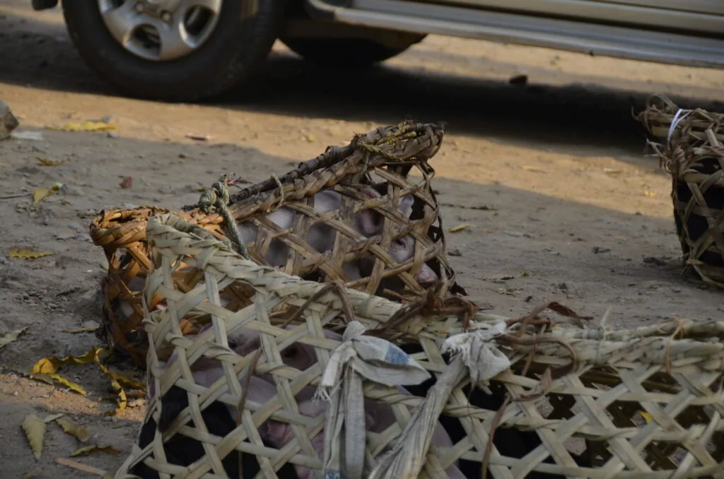 Discarded plastic mesh crates on pavement near parked vehicles