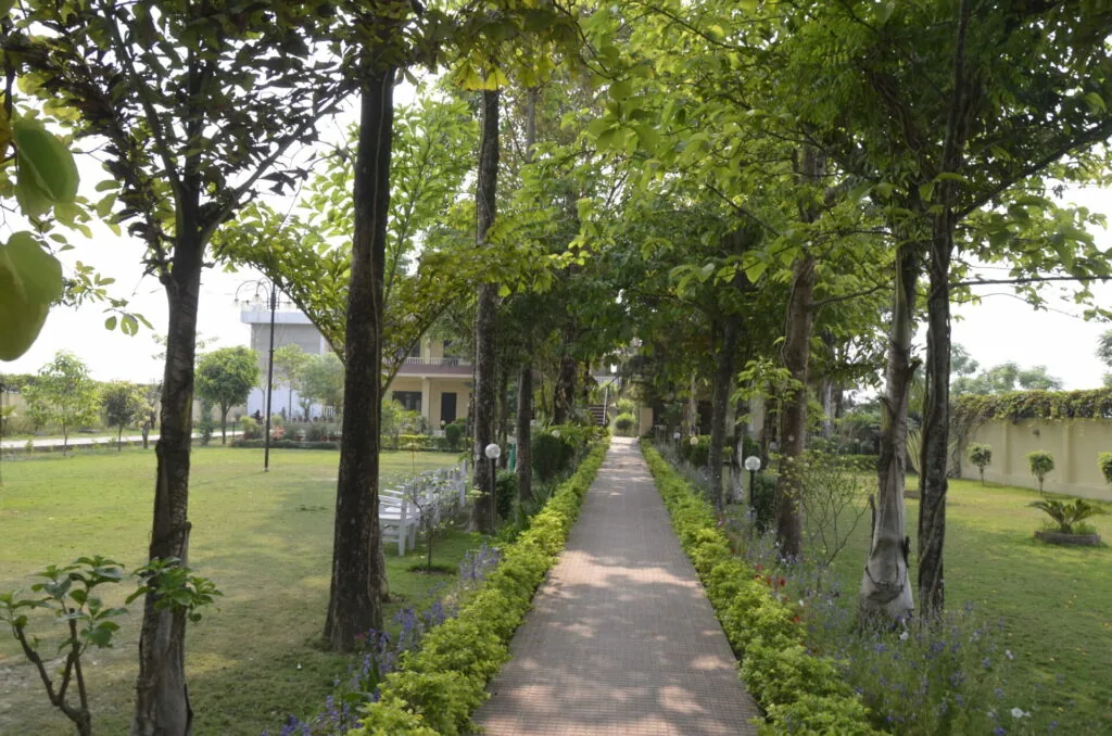 Tree-lined pathway with brick walkway leading toward yellow building in green landscaped grounds