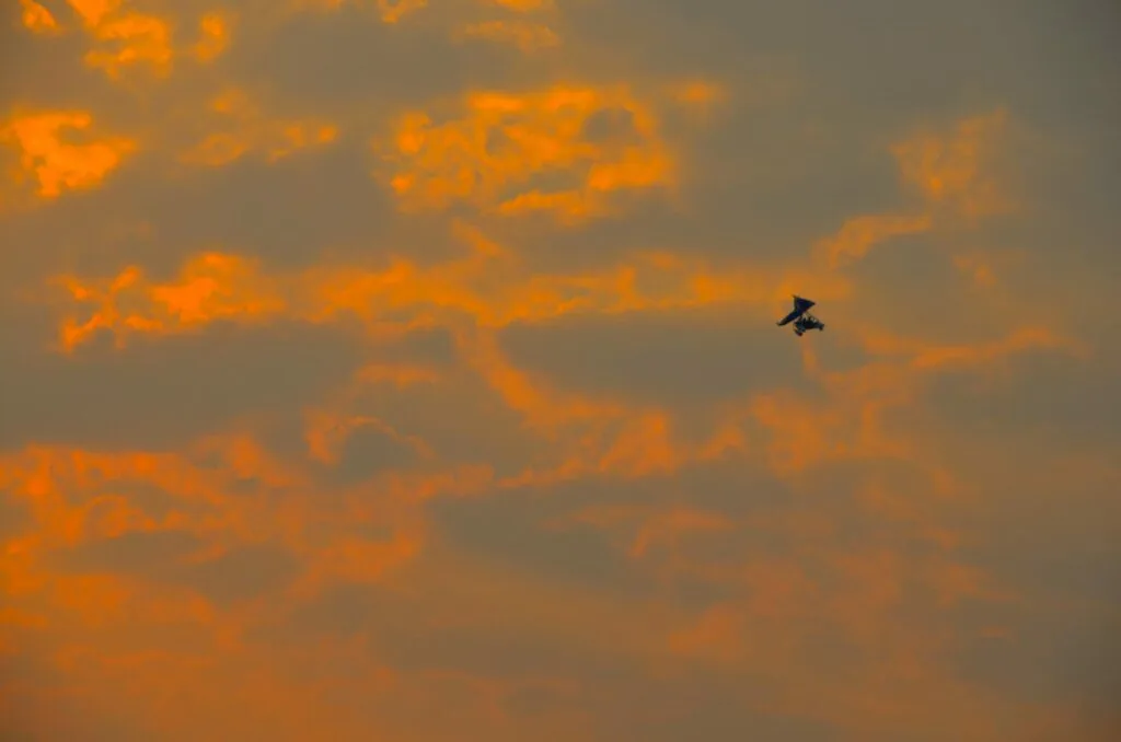 Bird silhouetted against orange and gray dramatic sunset clouds