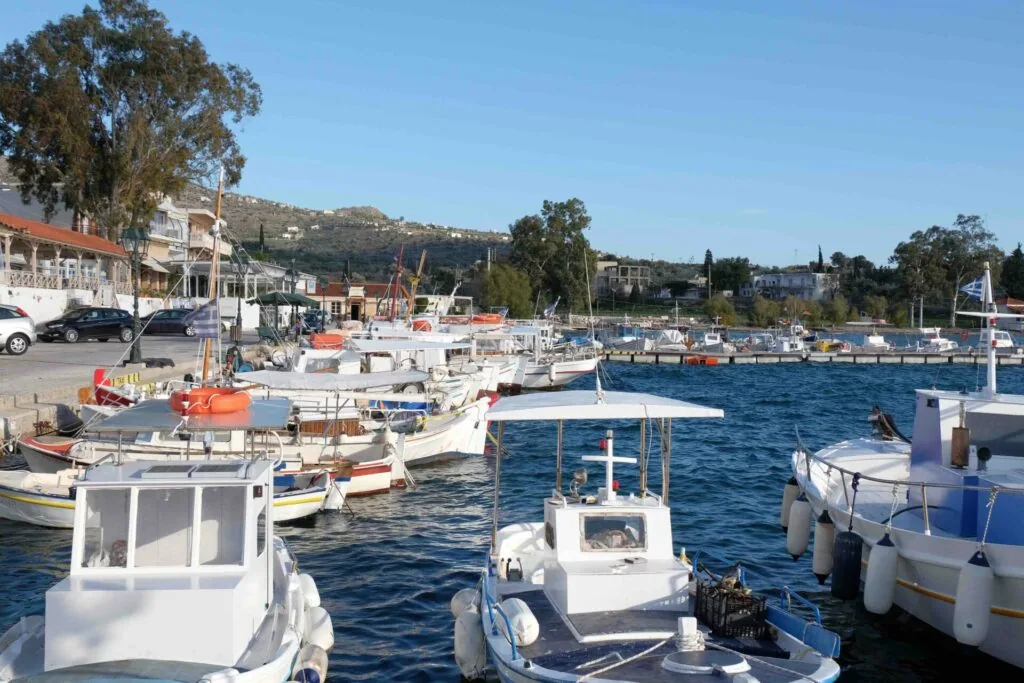 Fishing boats and small vessels moored in a blue water harbor with hillside buildings and trees in the background under clear sky