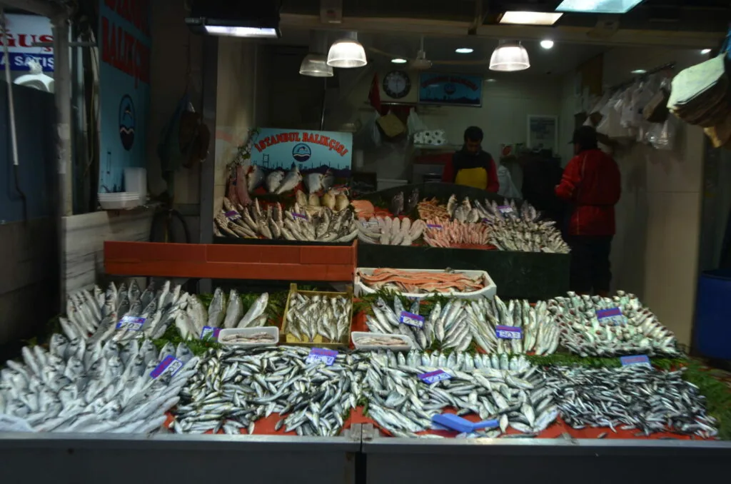 Fresh fish display at indoor market stall with various white and striped fish arranged on ice and red containers