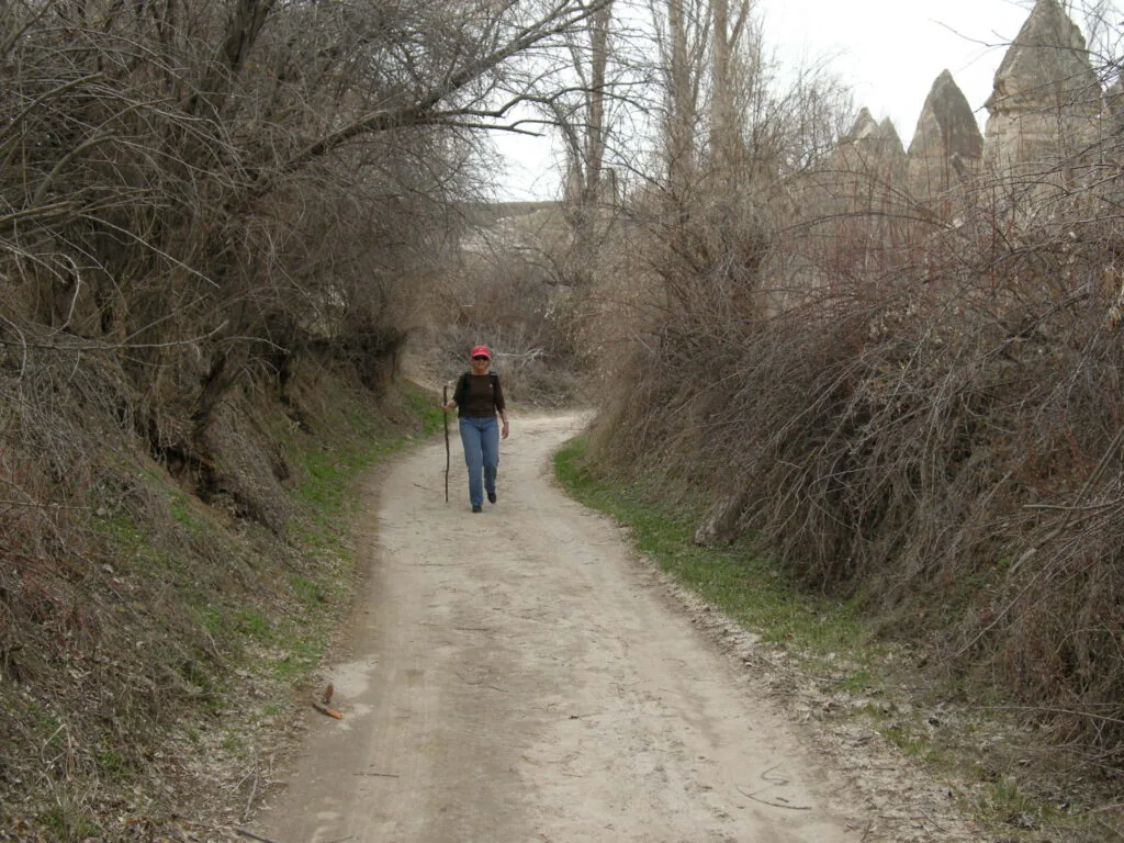Hiker walking on dirt path between bare trees and shrubs with castle structures visible in distance