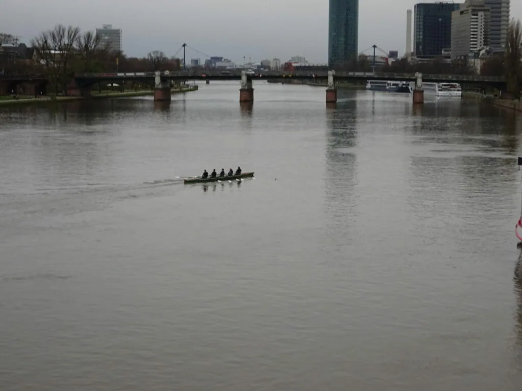Rowing crew in single sculling boat on wide river with urban skyline and bridge in background