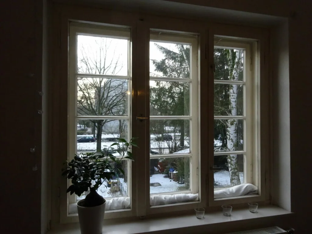Three-pane window with white frames showing snowy winter landscape with bare and evergreen trees; potted plant on interior windowsill